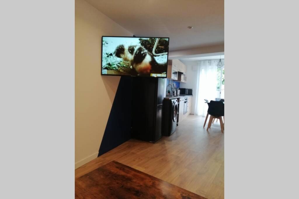 Charmant Appartement Avec Terrasse Pont-de-l'Isere Екстер'єр фото