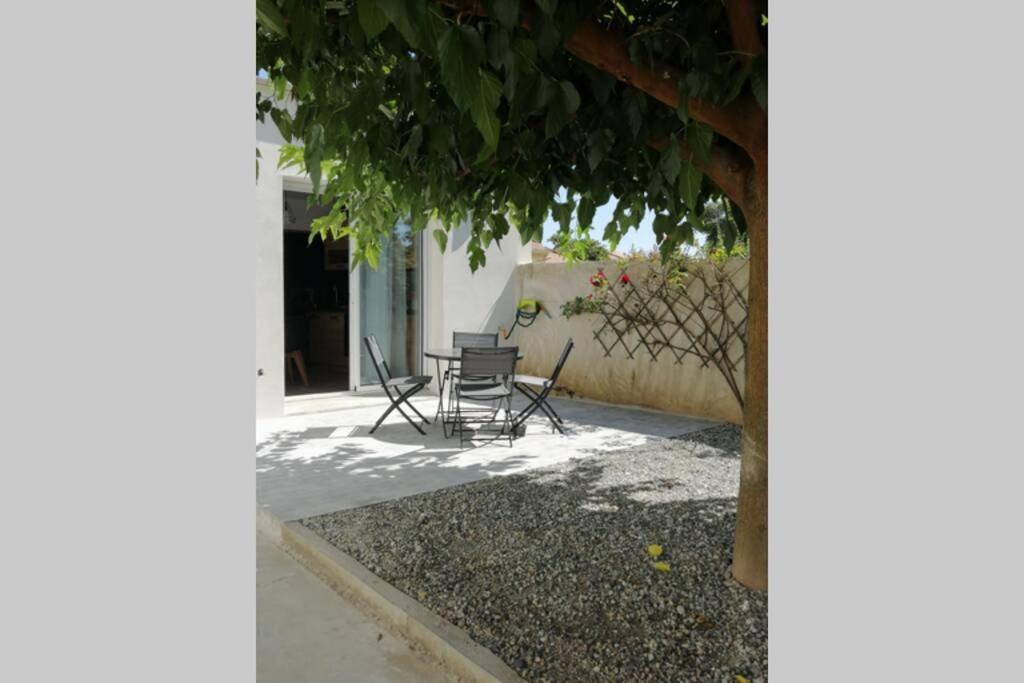 Charmant Appartement Avec Terrasse Pont-de-l'Isere Екстер'єр фото